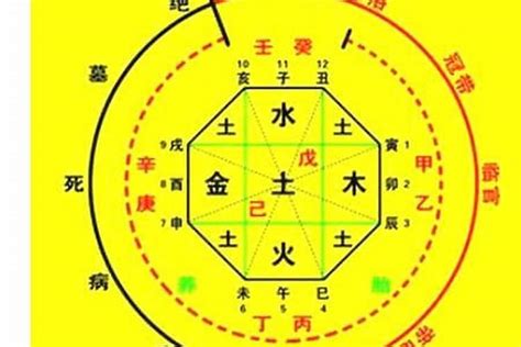 2031年五行|生辰八字算命、五行喜用神查询（免费测算）